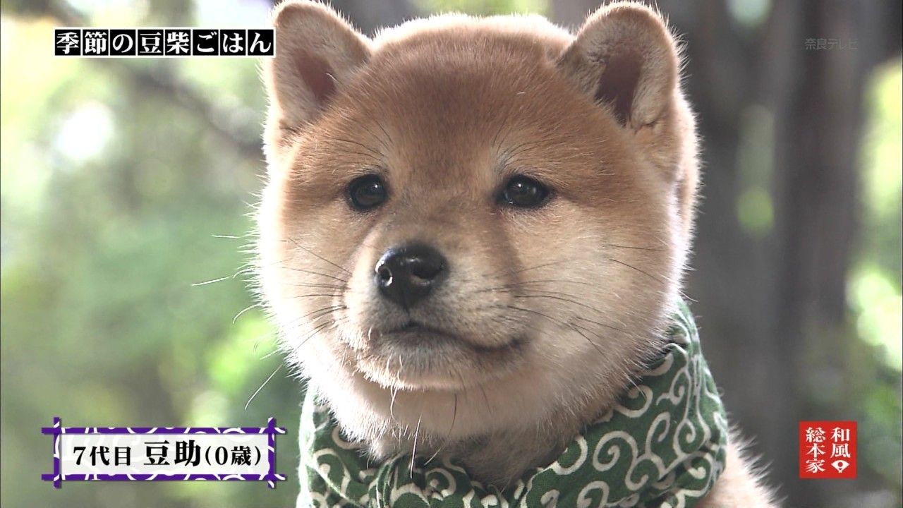テレビの話 501 ぬる い話 テレビの話 501 ぬる い話