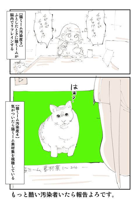 猫ミーム汚染度_037_0