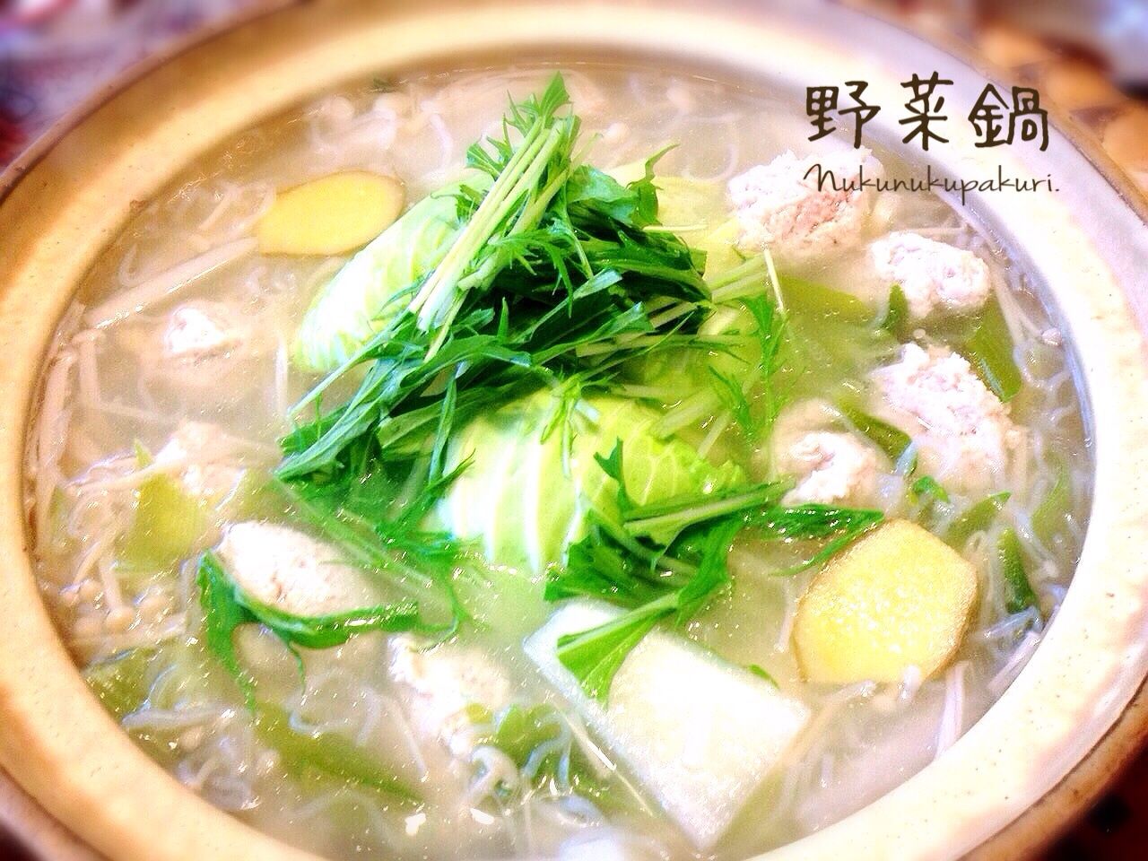 体リセット 旅の後は胃に優しい野菜鍋 ぬくぬくぱくり 体リセット 旅の後は胃に優しい野菜鍋 ぬくぬくぱくり
