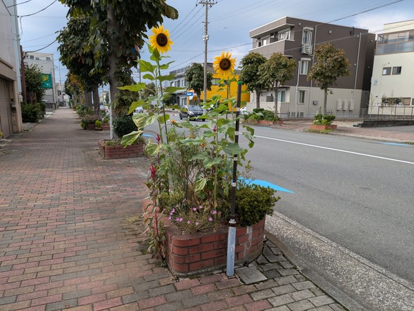 PXL_20250817_065002805