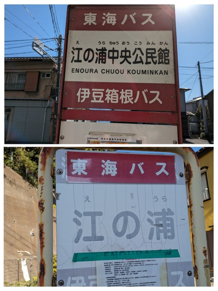 20231104_101202-COLLAGE