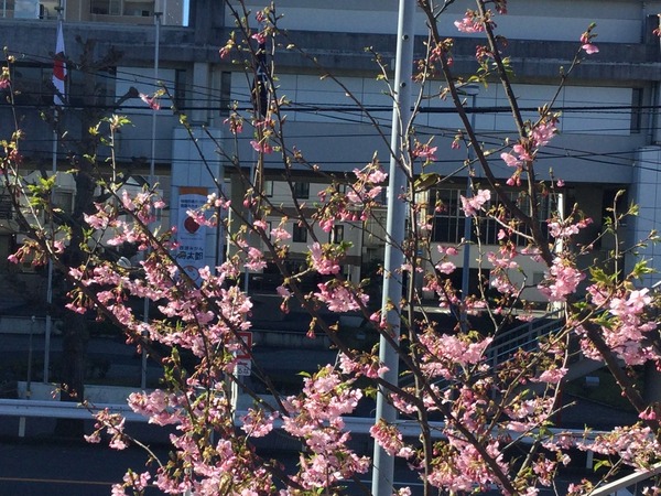 AB5EBE9A-6C91-4E4E-8454-890A0A73F900