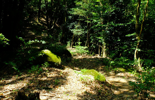 kinkan01