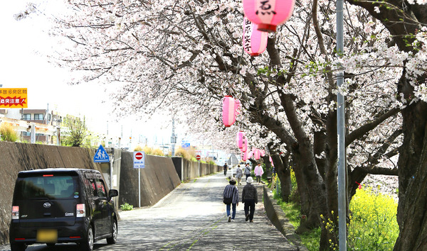 hakukinWALK (1)
