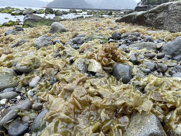 A7DD2CCE-898F-4DE9-8A9E-BE071C2B6394