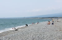 千本浜
