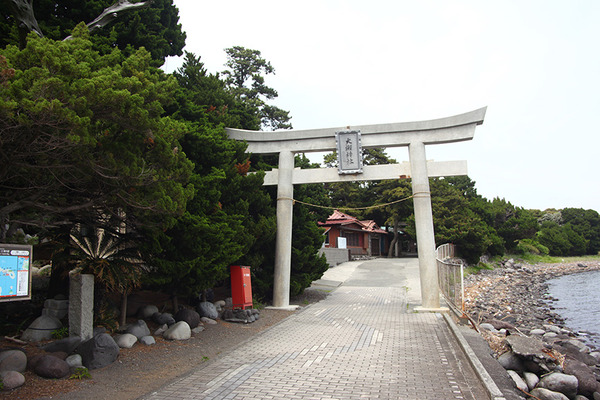 numazu_osezaki (9)