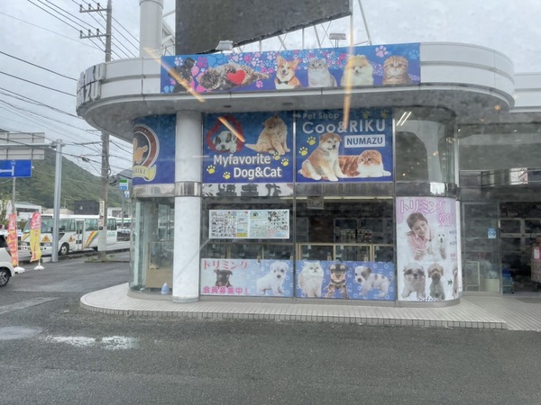 FA71C93E-7D84-4011-944D-C4A1C94BE1F7