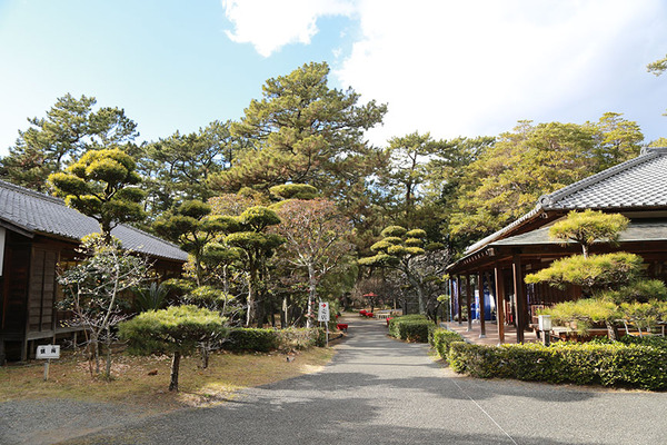 goyouteiYacho (10)