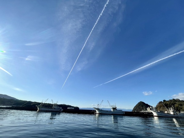 044BE70B-4908-421A-982D-8D6C6B865B5F