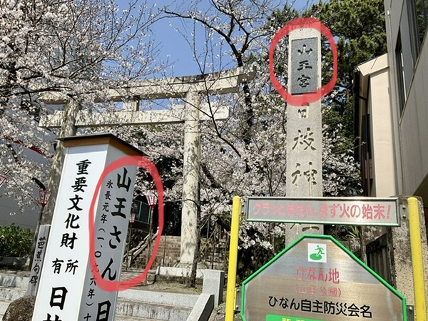 FE805975-40F0-4894-8A4C-FD7E8C82ADDE