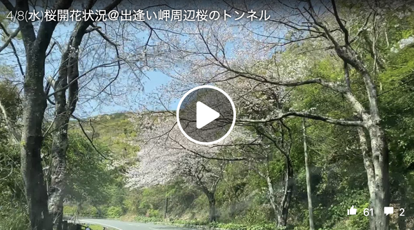 スクリーンショット 2020-04-09 21.21.40