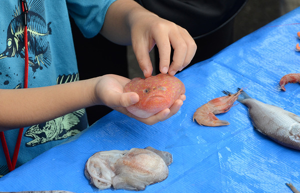 HEdaKnakoukyoukai (5)