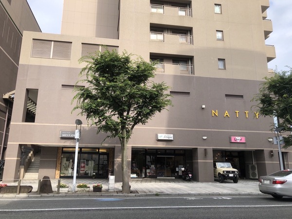 natty 1