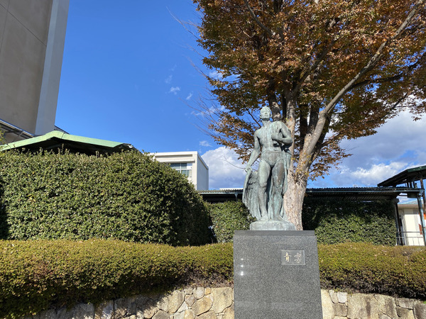 newton (6)