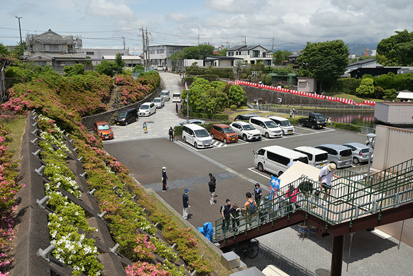 suigen (6)