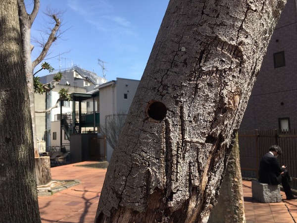 235744B3-70AA-4BB3-874D-C16DC9441712