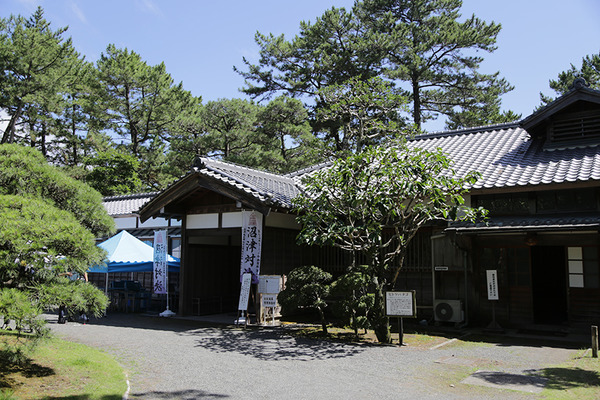 shoubumeshi (3)