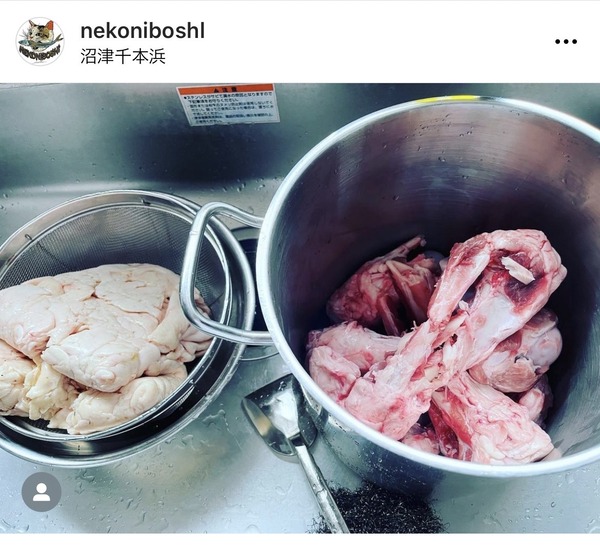 11863240-5DC9-4465-8C56-18F9A1441105