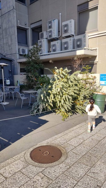 89EC2131-E6FA-40CD-87B3-3B3C1054803D