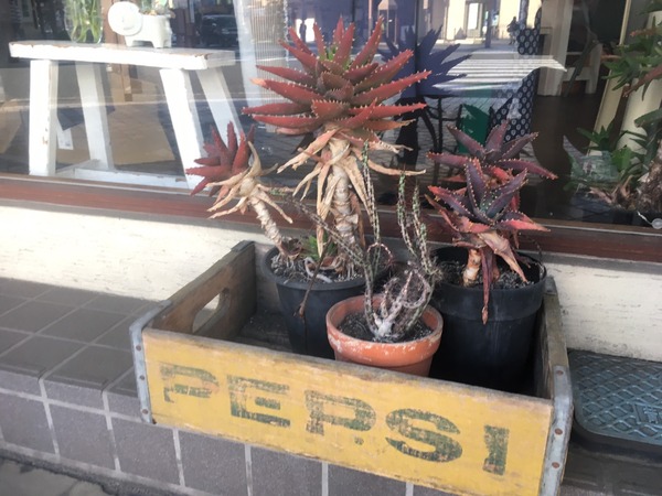 B0836CBB-1EDA-4C00-813C-EFAAF393FC39