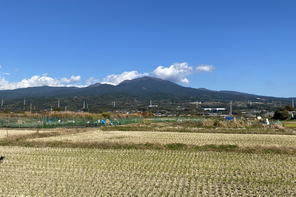 kouyou (2)