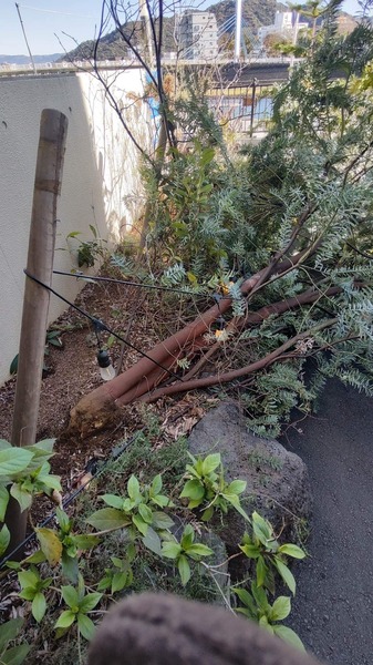 F6335945-EEDE-4C8D-AE1E-E6B8D76994A3