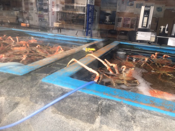 726A76BE-F672-4F0D-841E-44426C5C013B