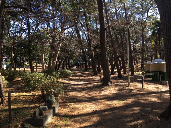 D01FE9FB-8C07-48D5-B7A5-5792E99299BD