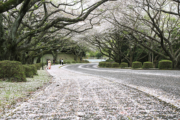 fujit (3)
