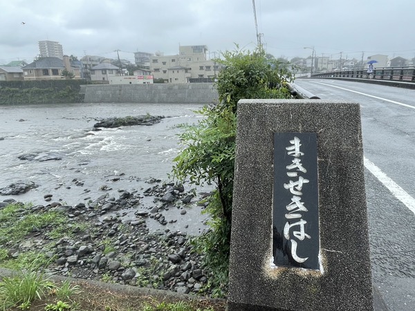 95B04F0C-A7AD-4181-BC0F-03F99515FC18