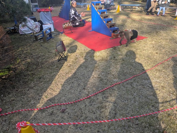 PXL_20260223_061325542