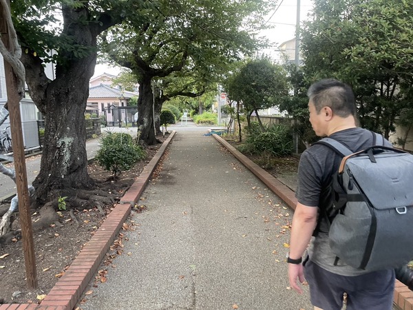 B73A352A-9CF8-45C3-9D1A-15D2091E2EED