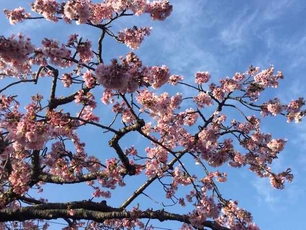 46499BF3-D28D-4829-B889-7A20572E12E8