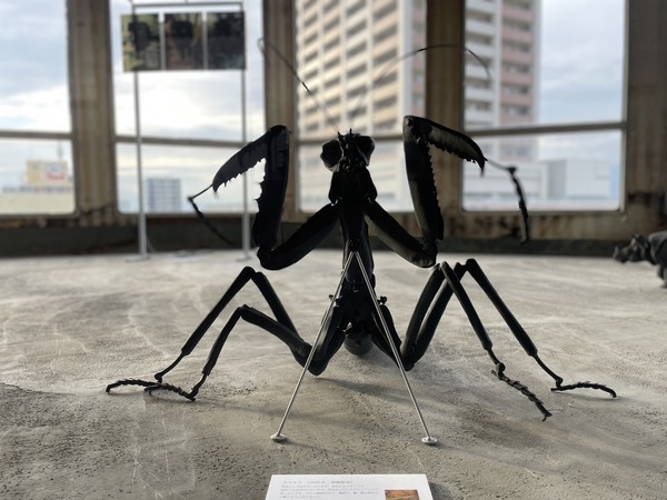 13002661-67D1-425D-AA06-CAE68B03BB5E