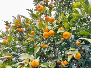 82FE3910-06BC-4867-B4BB-C00B0C98EF75