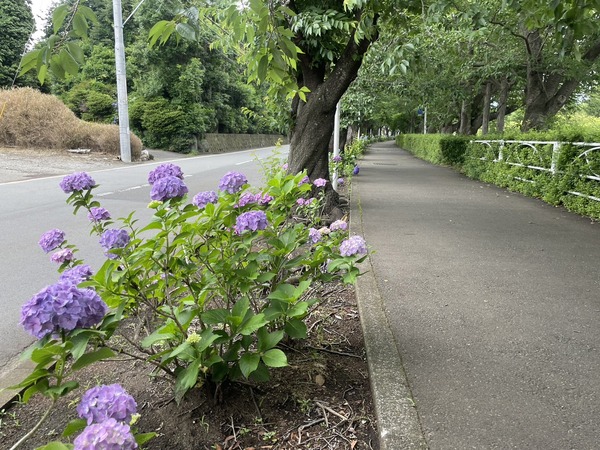 C99C9F17-6DA0-4278-B9E2-9A19B20ECC42