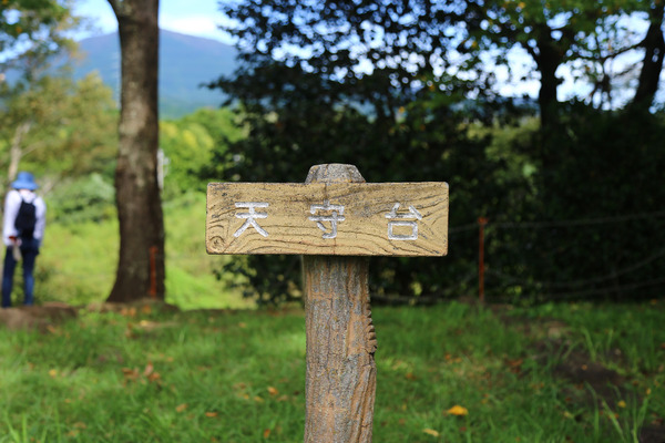 higanbana (14)