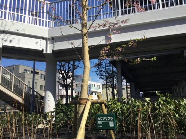 D8F4F623-F1CF-46A1-A9D1-95E67012C63F