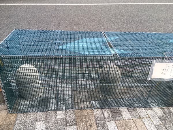 09541C88-ABEC-464E-B8AF-91780ED6D649