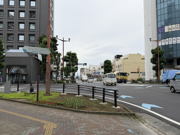 sakana (1)