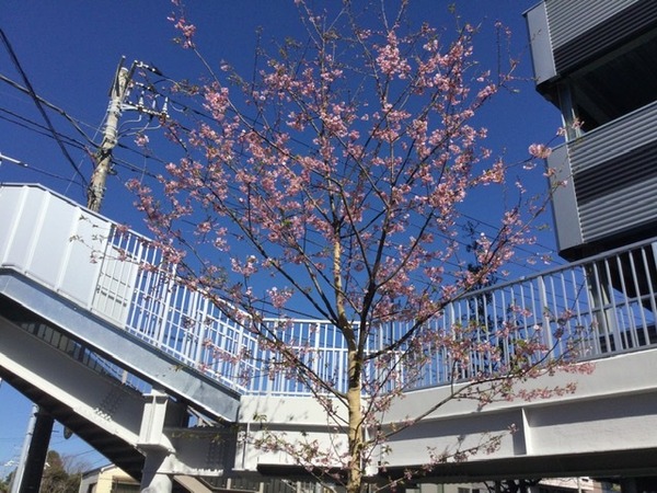 09410799-8655-4DC1-83C5-19240BC82291