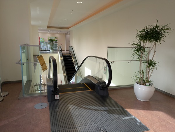 PXL_20260126_043630417