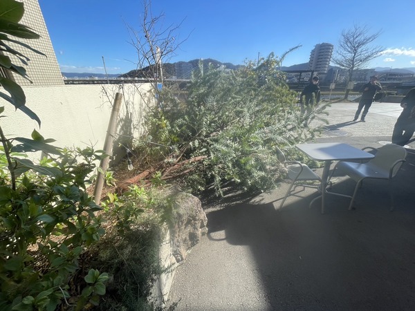 8C42C6BE-4A69-4BD2-8296-BD8BB1D6E101