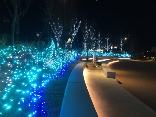 70C4FCC6-BB2F-4741-BB86-D1097B768528