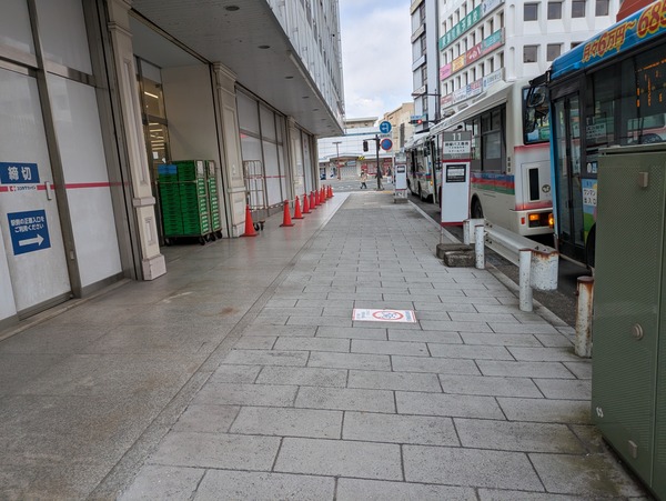 PXL_20250224_042048676