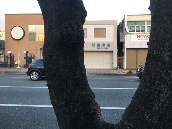 F20601AD-54B5-4E64-94B8-CD4E4F326DC0