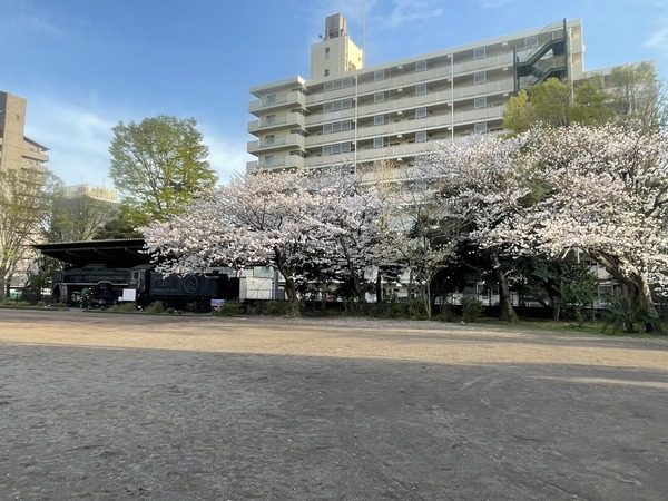 B9B0BFB8-08C0-49FE-A79C-C14B2ECBE1A5