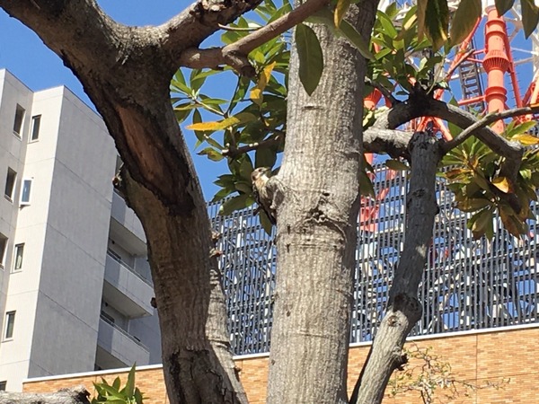 8EB55542-0C84-4C67-88D0-0D61DFBE194C