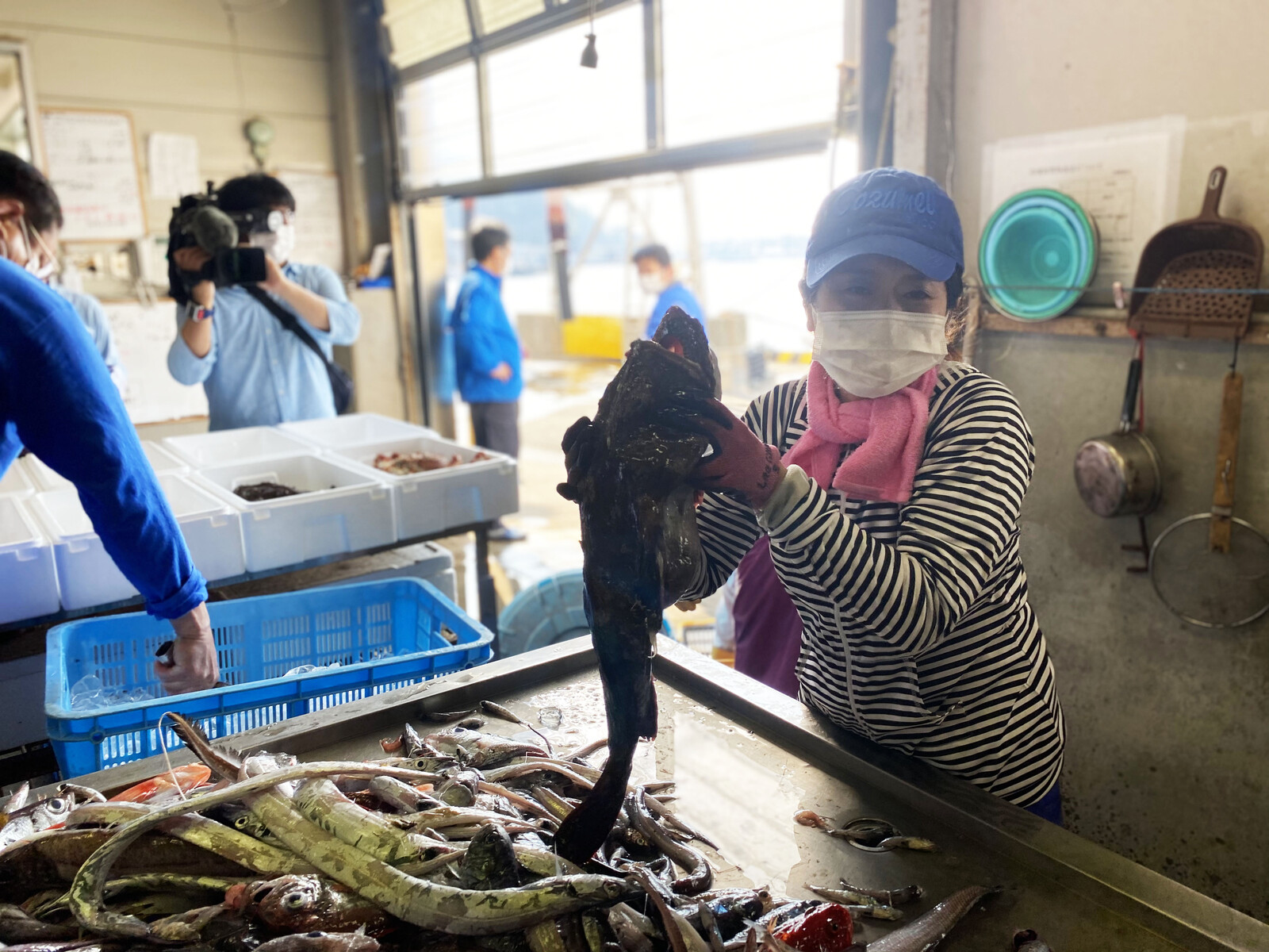 沼津市戸田の深海魚ガール 青山沙織さんのクラウドファンディングがあと2日で終了 応援できる最後のチャンスです 沼津つーしん 沼津市戸田の深海魚ガール 青山沙織さんのクラウドファンディングがあと2日で終了 応援できる最後のチャンスです 沼津つーしん